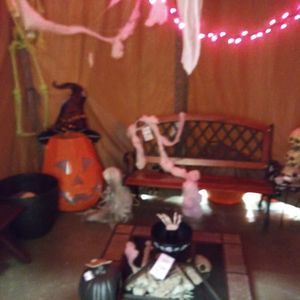 Meet your Posher, Zebbie